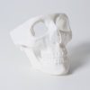 Formlabs White resin (Form 3; standard, fehér műgyanta)