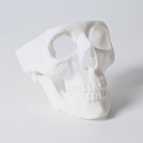 Formlabs White resin (Form 3; standard, fehér műgyanta)